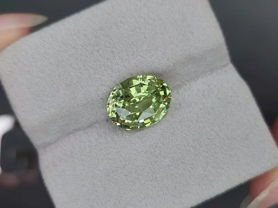 Green grossular garnet in oval cut 5.71 carats, Tanzania  Image №4