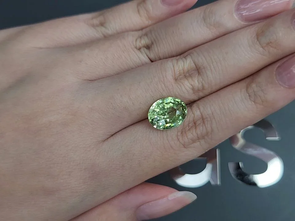 Green grossular garnet in oval cut 5.71 carats, Tanzania  Image №2