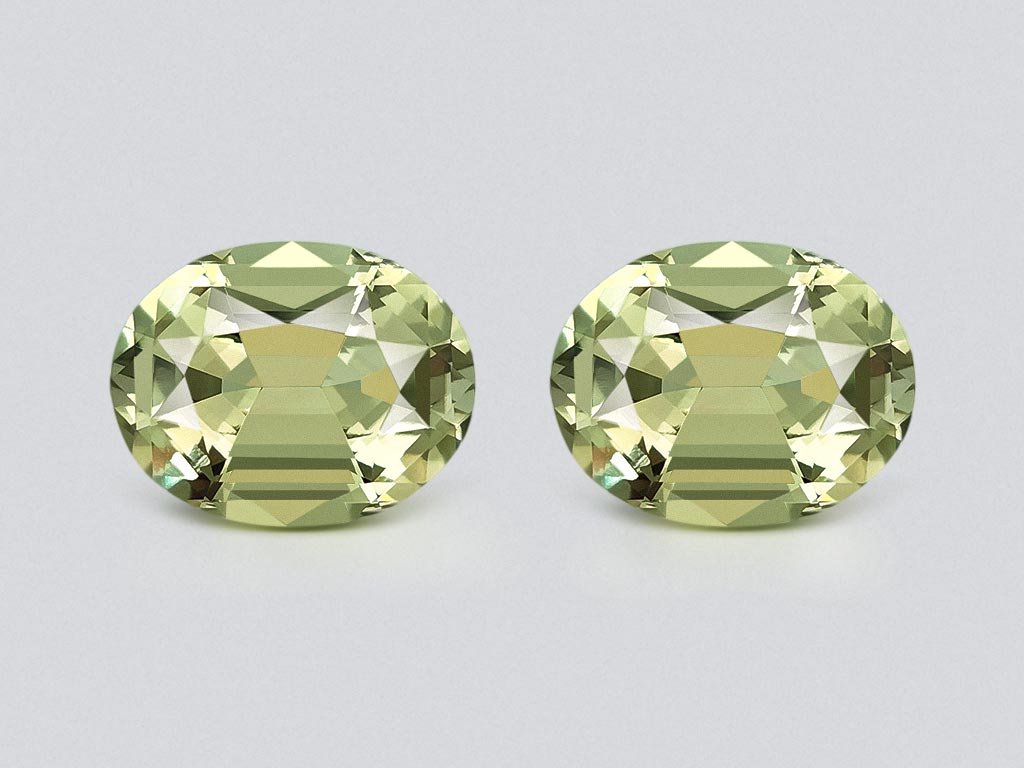 Pair of green prasiolites in a precision cut oval 16.68 carats, Africa Image №1