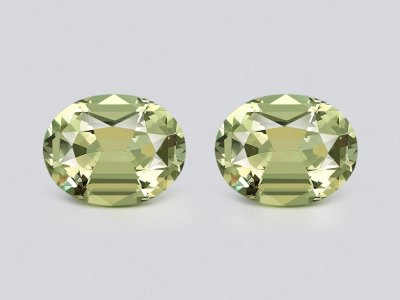 Pair of green prasiolites in a precision cut oval 16.68 carats, Africa photo