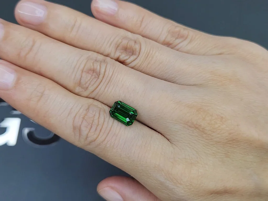 Vivid green tsavorite garnet in octagon cut 2.56 carats, Tanzania  Image №2