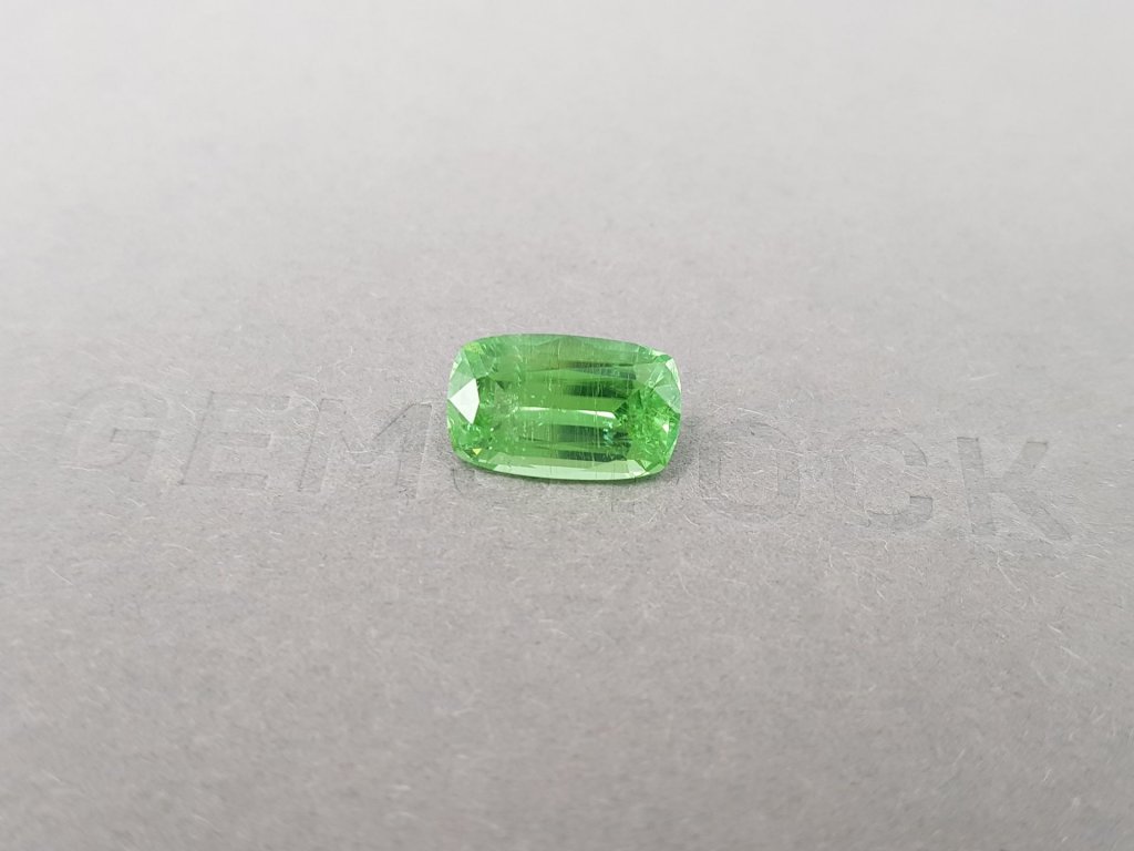 Vibrant green paraiba in cushion cut 3.07 ct Image №3
