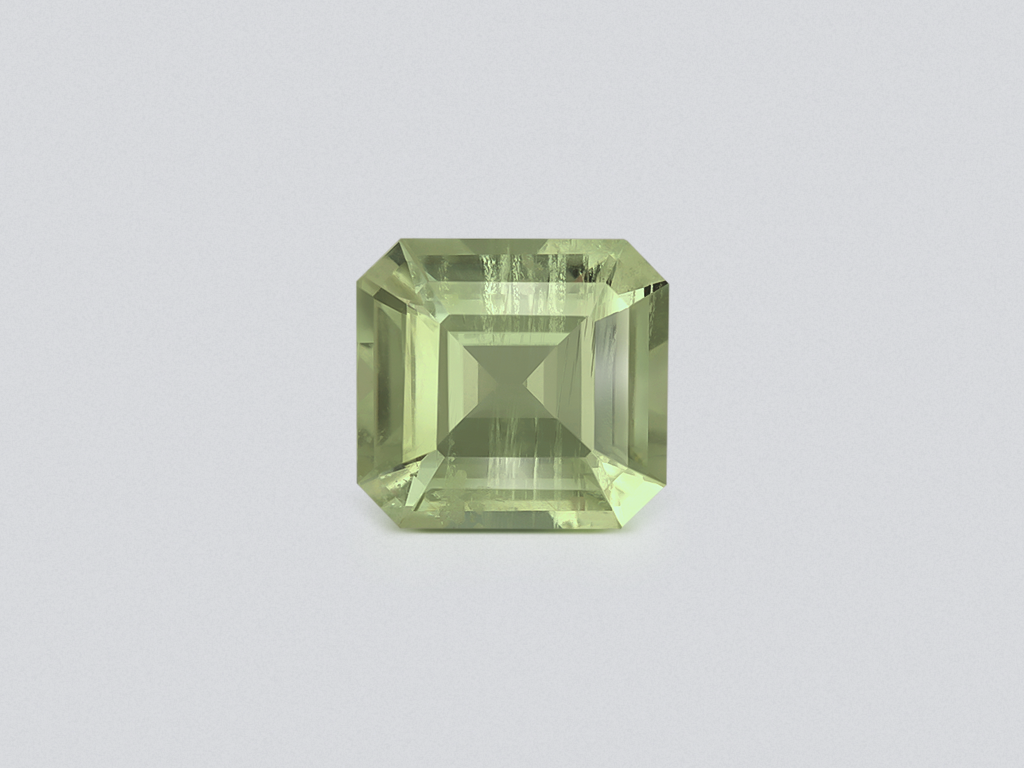 Prasiolite (green quartz) in high precision cut octagon 2.77 carats, Africa Image №1