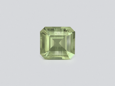 Prasiolite (green quartz) in high precision cut octagon 2.77 carats, Africa photo