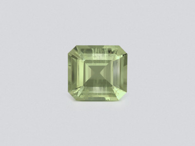 Prasiolite (green quartz) in high precision cut octagon 2.77 carats, Africa photo