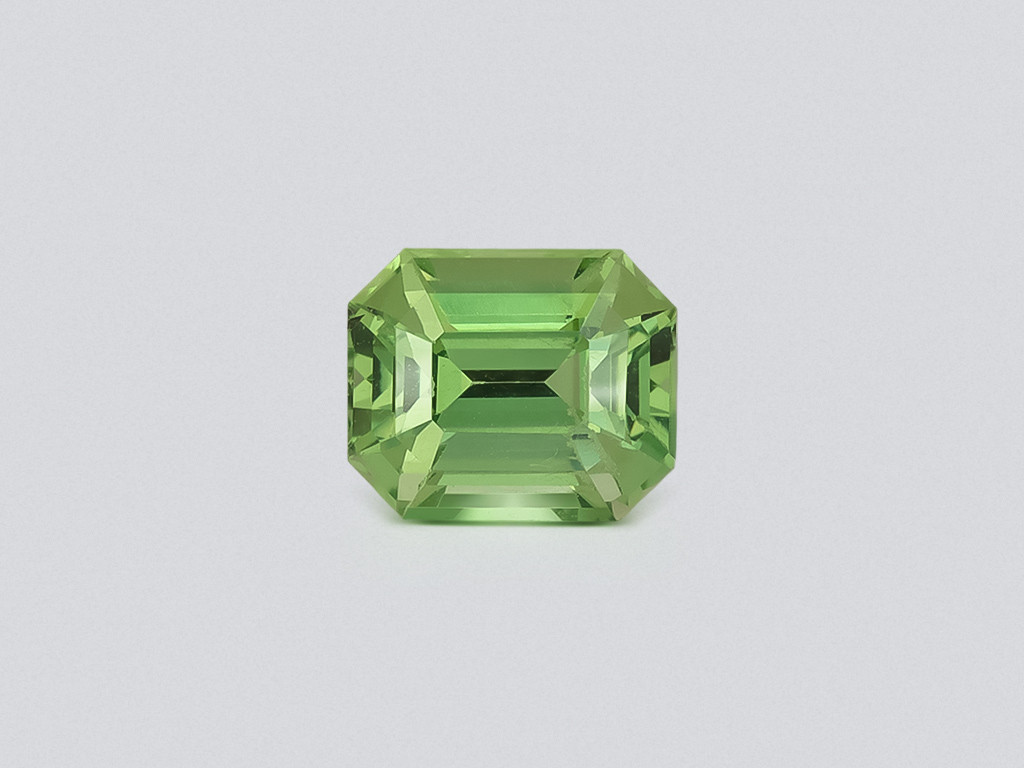 Garnet tsavorite octagon cut 1.53 carats, Tanzania  Image №1