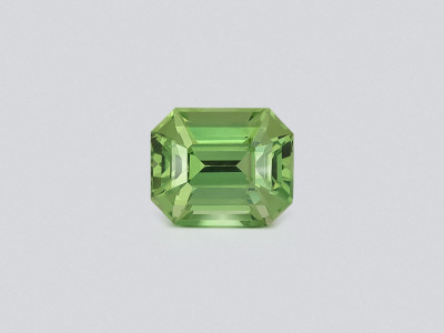 Garnet tsavorite octagon cut 1.53 carats, Tanzania  photo