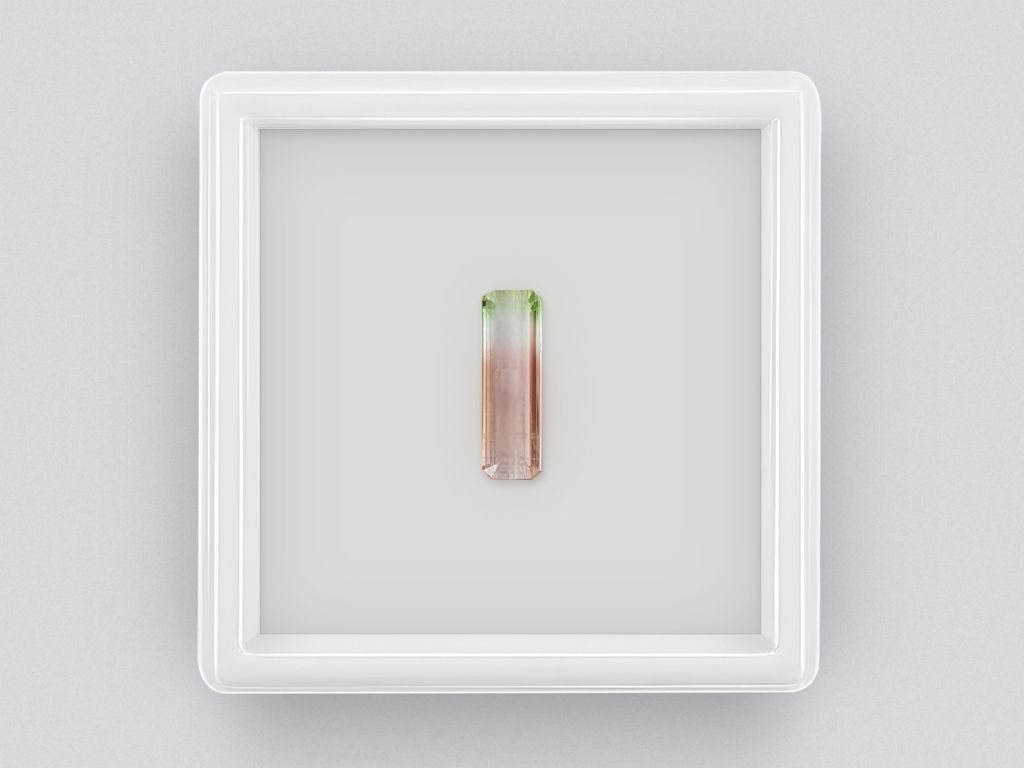 Watermelon tourmaline octagon cut 1.92 ct, Mozambique Image №1