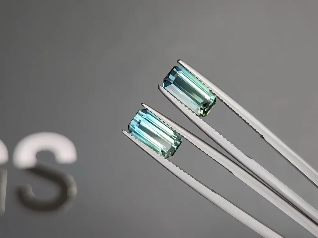 Pair of tourmalines Bi-color octagon cut 3.99 carats, Afghanistan Image №3