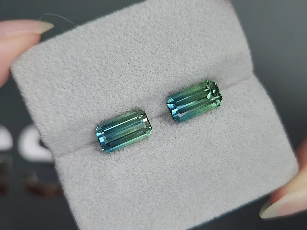 Pair of tourmalines Bi-color octagon cut 3.99 carats, Afghanistan Image №4