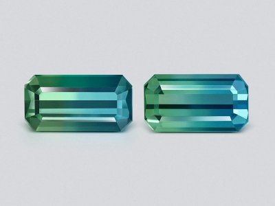 Pair of tourmalines Bi-color octagon cut 3.99 carats, Afghanistan photo