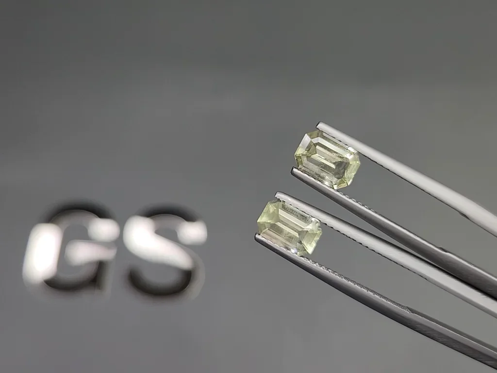 Pair of prasiolite (Green Quartz) precision cut octagon 1.74 carats, Africa Image №3