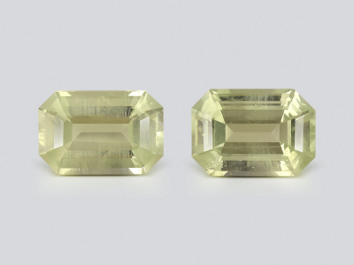 Pair of prasiolite (Green Quartz) precision cut octagon 1.74 carats, Africa photo