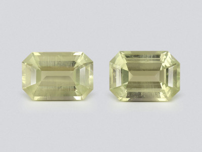 Pair of prasiolite (Green Quartz) precision cut octagon 1.74 carats, Africa photo