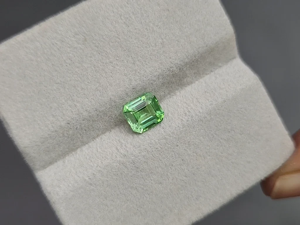 Garnet tsavorite octagon cut 1.03 carats, Tanzania  Image №4