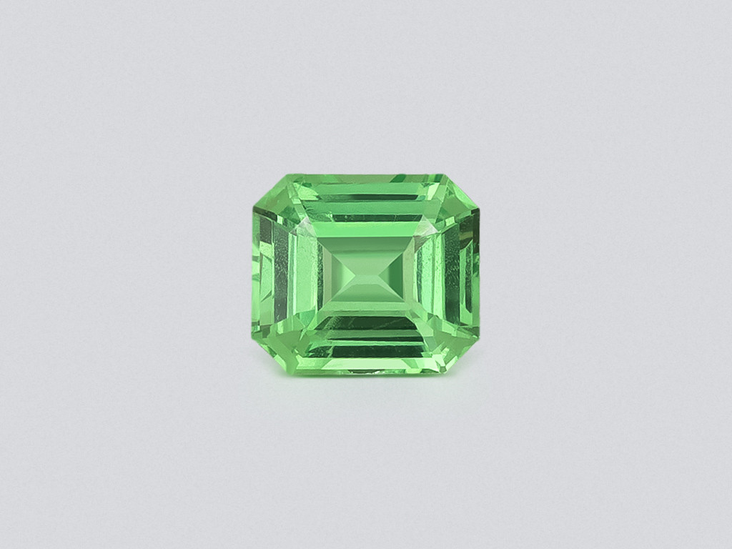 Garnet tsavorite octagon cut 1.03 carats, Tanzania  Image №1