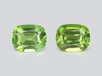 Pair of green tourmalines cushion cut 13.79 carats, Colombia photo