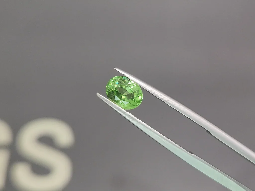 Intense Green tsavorite garnet in oval cut 1.18 carats Tanzania Image №3