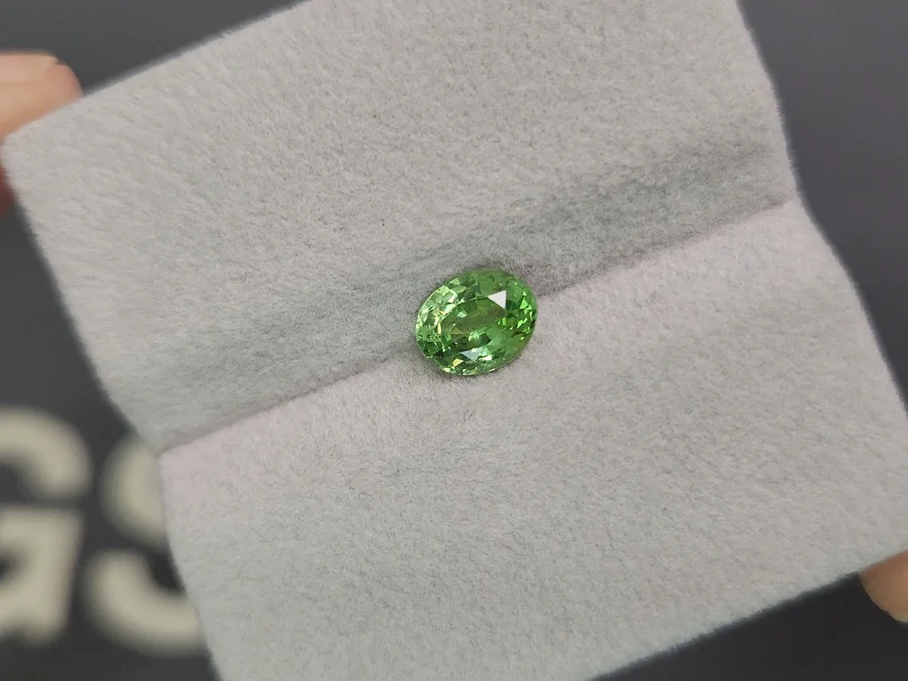 Intense Green tsavorite garnet in oval cut 1.18 carats Tanzania Image №4