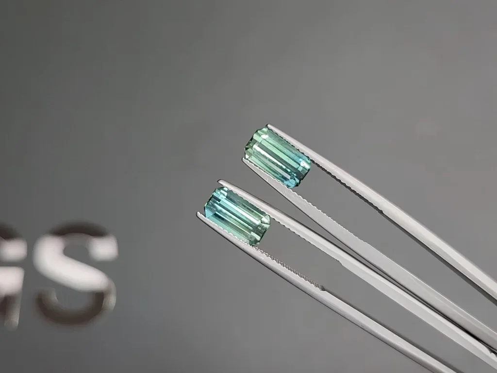 Pair of tourmalines  Bi-color octagon cut 3.71 carats,  Afghanistan Image №3