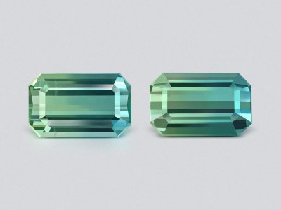 Pair of tourmalines  Bi-color octagon cut 3.64 carats,  Afghanistan photo
