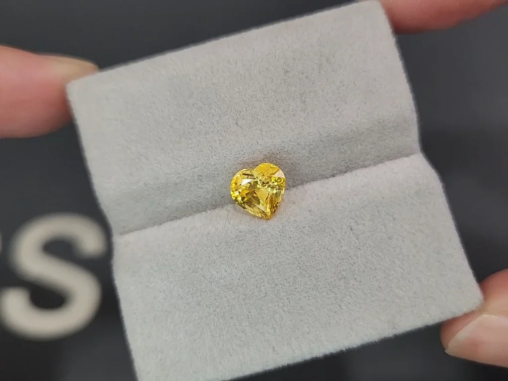 Sapphire Vivid Yellow  heart shape 1.68 carats, Sri Lanka Image №4
