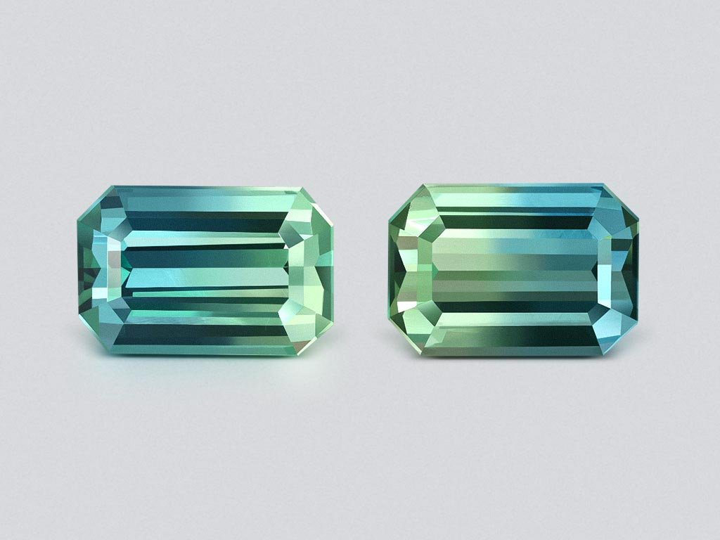 Pair of  tourmalines Bi-color octagon cut 3.05 carats, Afghanistan Image №1