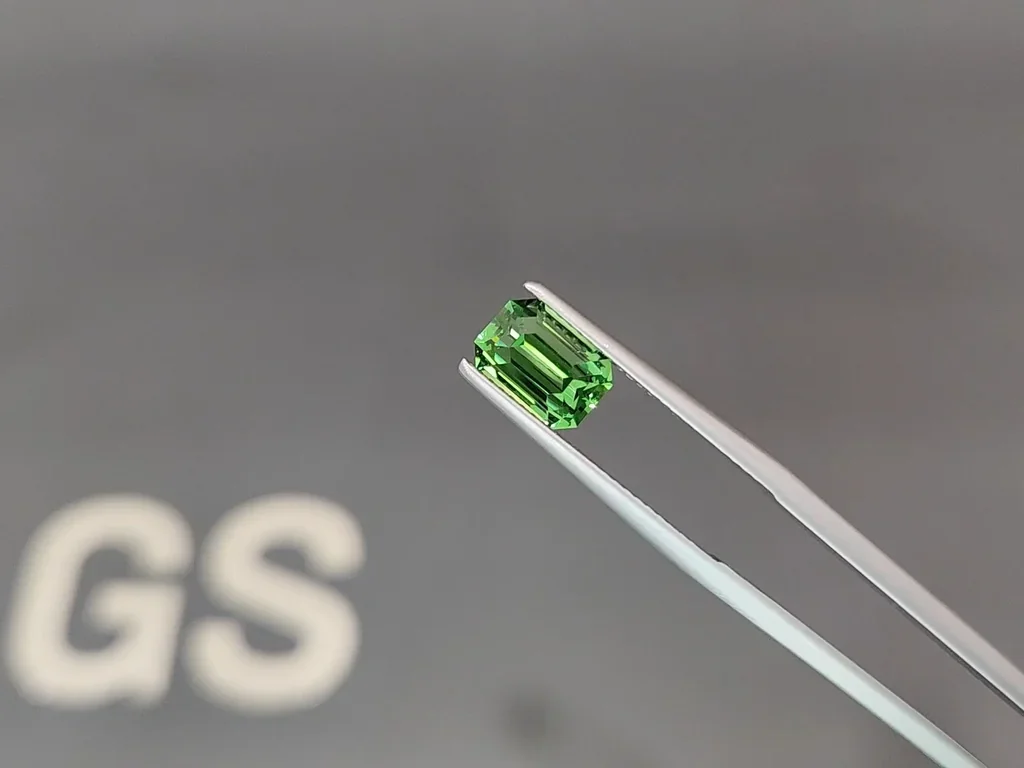 Garnet tsavorite octagon cut 2.26 carats, Tanzania  Image №3