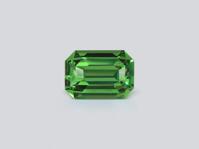 Garnet tsavorite octagon cut 2.26 carats, Tanzania  photo