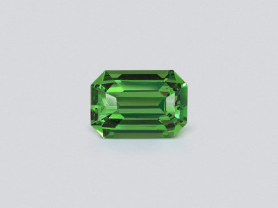Garnet tsavorite octagon cut 2.26 carats, Tanzania  photo