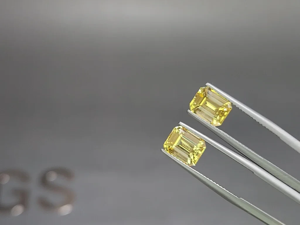 Pair of unheated sapphires Golden Yellow octagon cut 6.53 carats, Sri Lanka Image №3