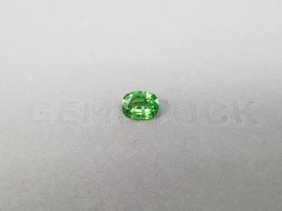 Garnet tsavorite hotsell