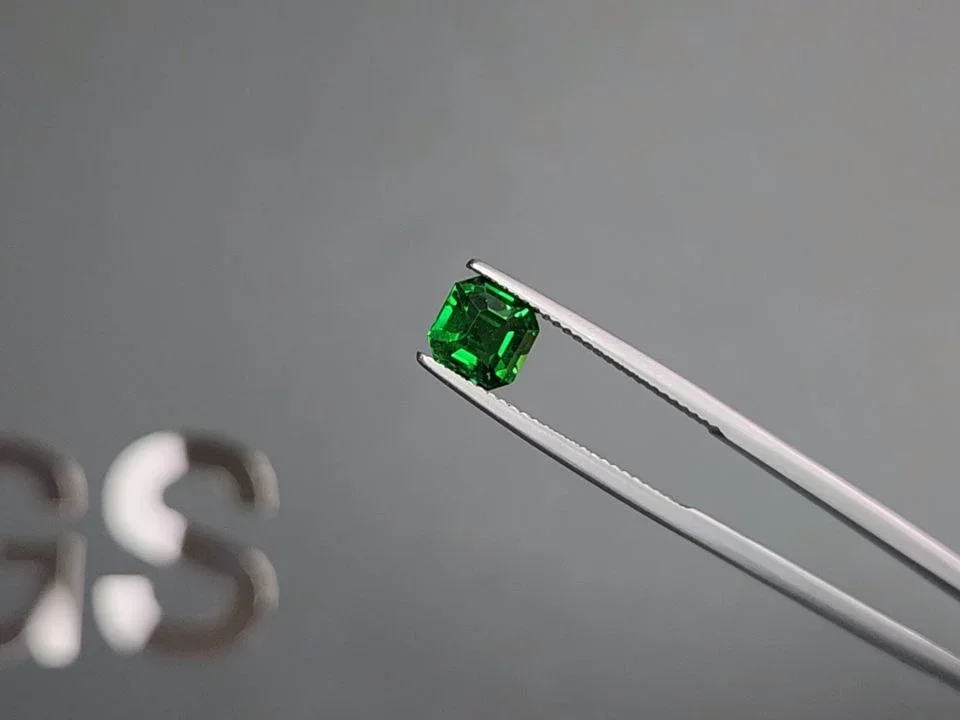 Vivid green tsavorite garnet in octagon cut 1.56 carats, Tanzania  Image №3