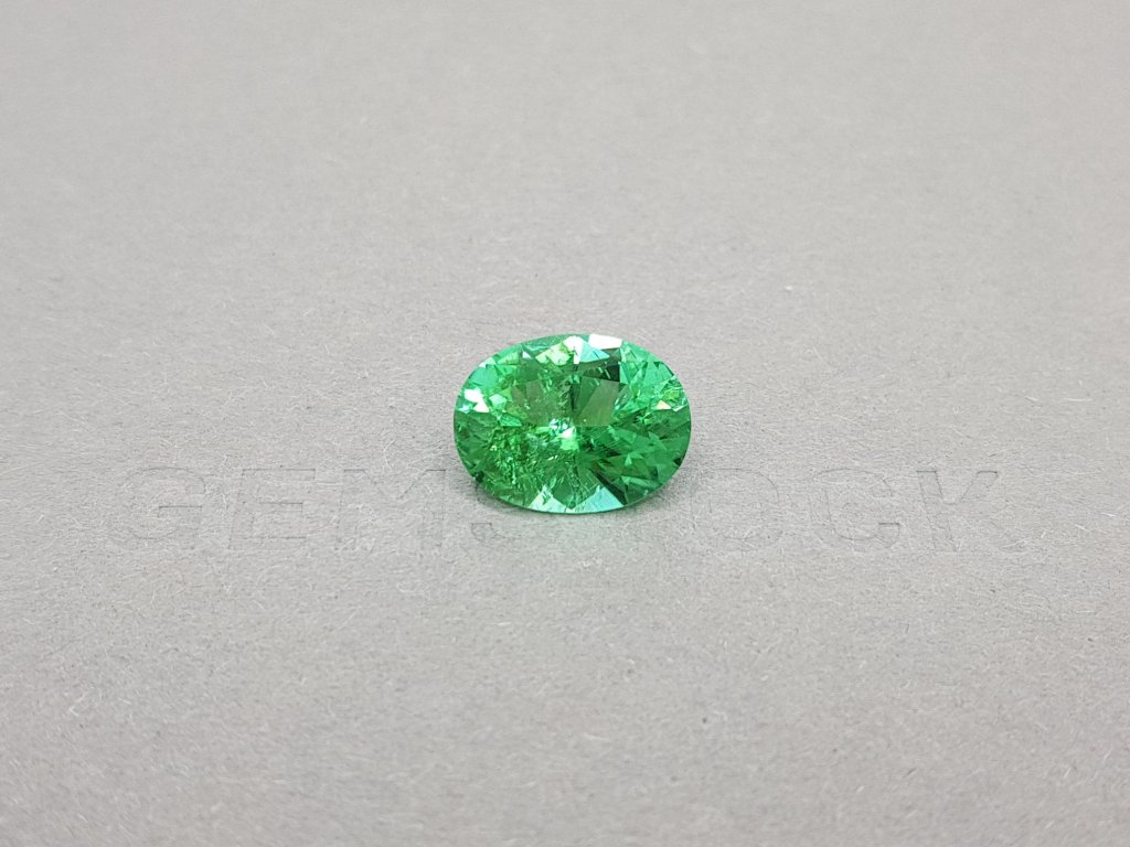 Vibrant Green Paraiba Oval Cut 5.10 ct Image №1
