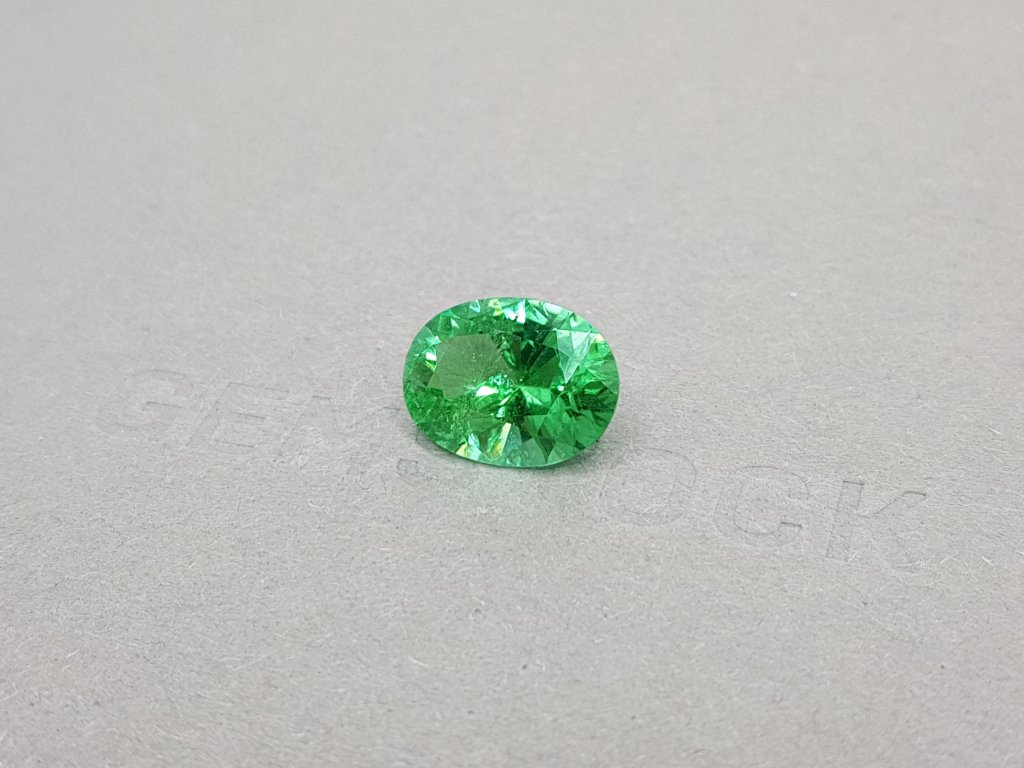 Vibrant Green Paraiba Oval Cut 5.10 ct Image №2