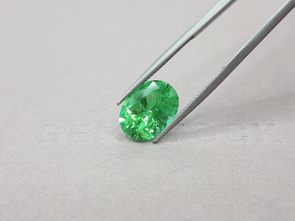 Vibrant Green Paraiba Oval Cut 5.10 ct Image №4