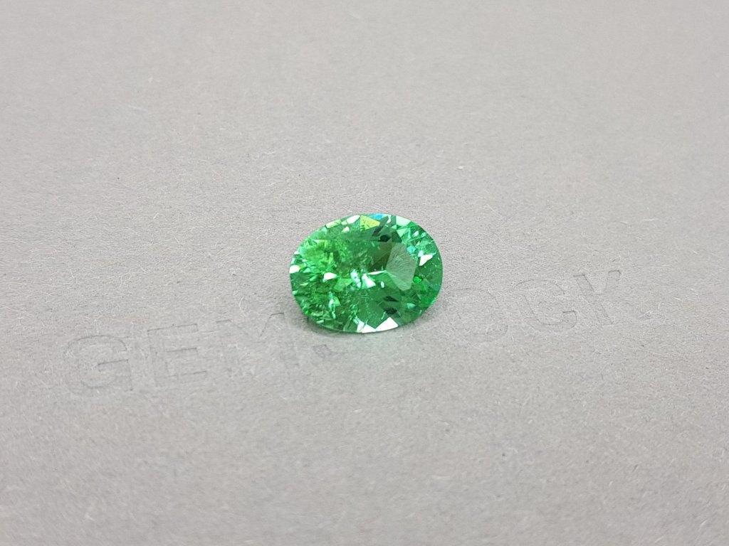 Vibrant Green Paraiba Oval Cut 5.10 ct Image №3