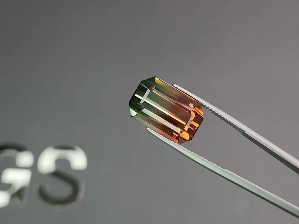 Bi-color or watermelon tourmaline in octagon cut 19.03 carats Image №3