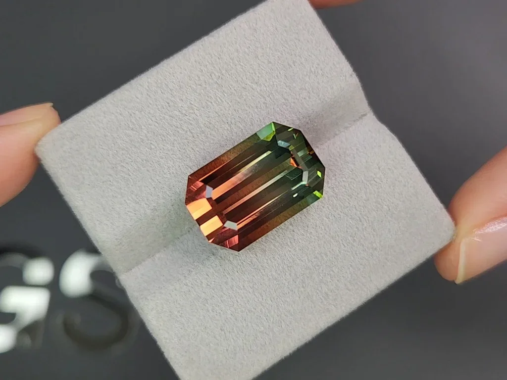 Bi-color or watermelon tourmaline in octagon cut 19.03 carats Image №4