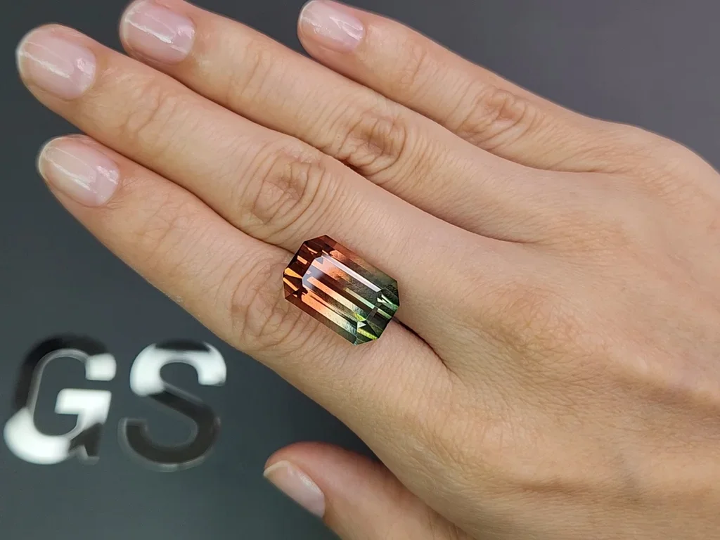 Bi-color or watermelon tourmaline in octagon cut 19.03 carats Image №2