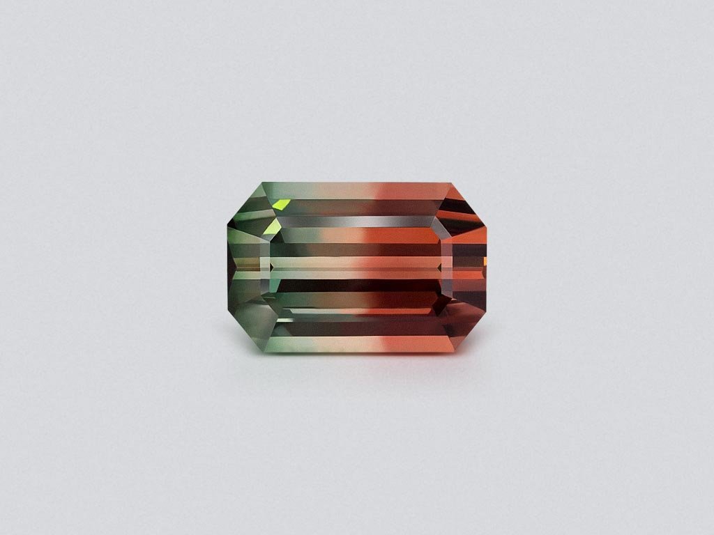 Bi-color or watermelon tourmaline in octagon cut 19.03 carats Image №1
