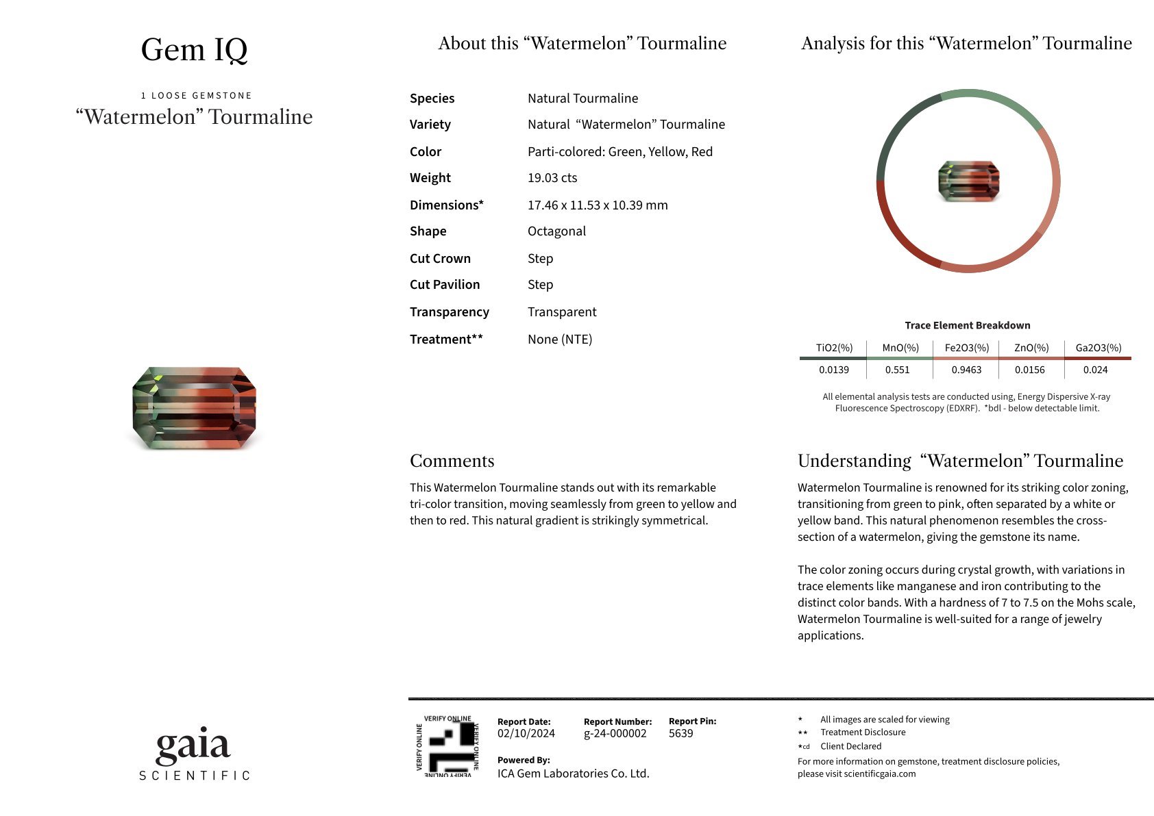 Bi-color or watermelon tourmaline in octagon cut 19.03 carats Image №5