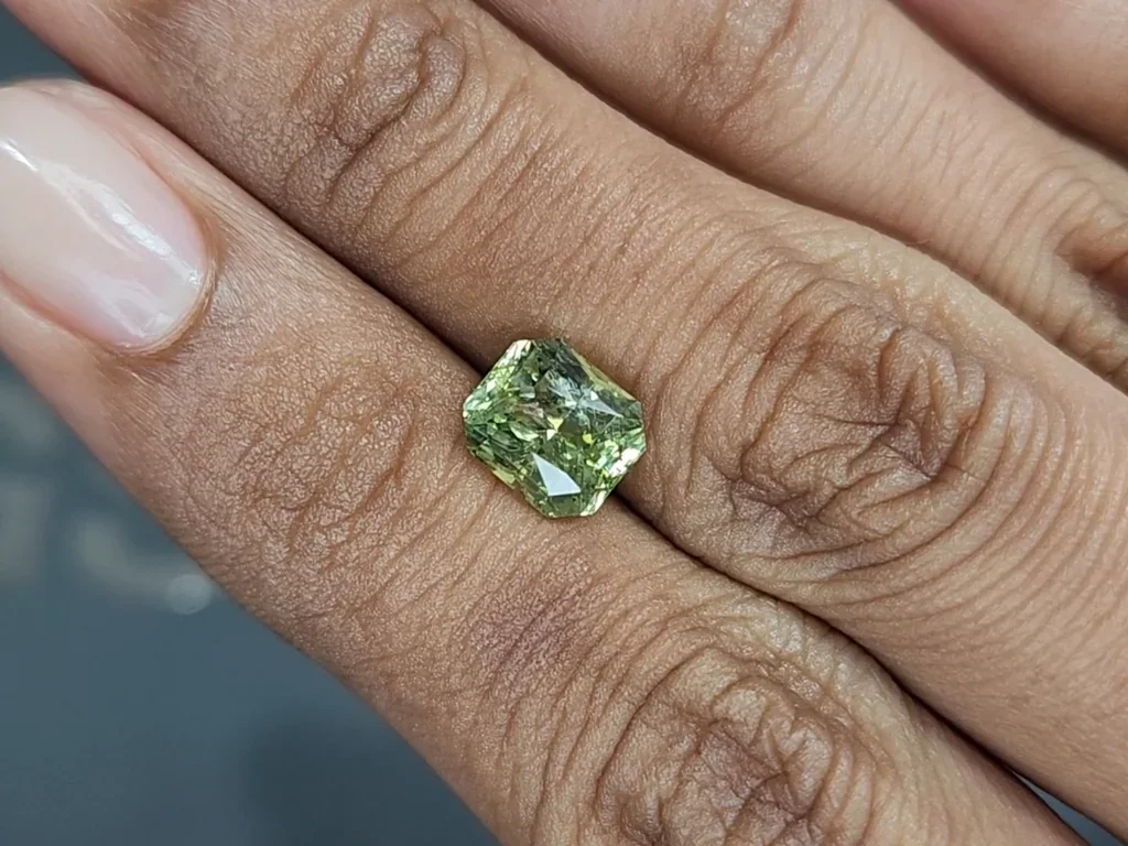 Garnet grossular radiant cut 2.90 carats, Tanzania Image №2