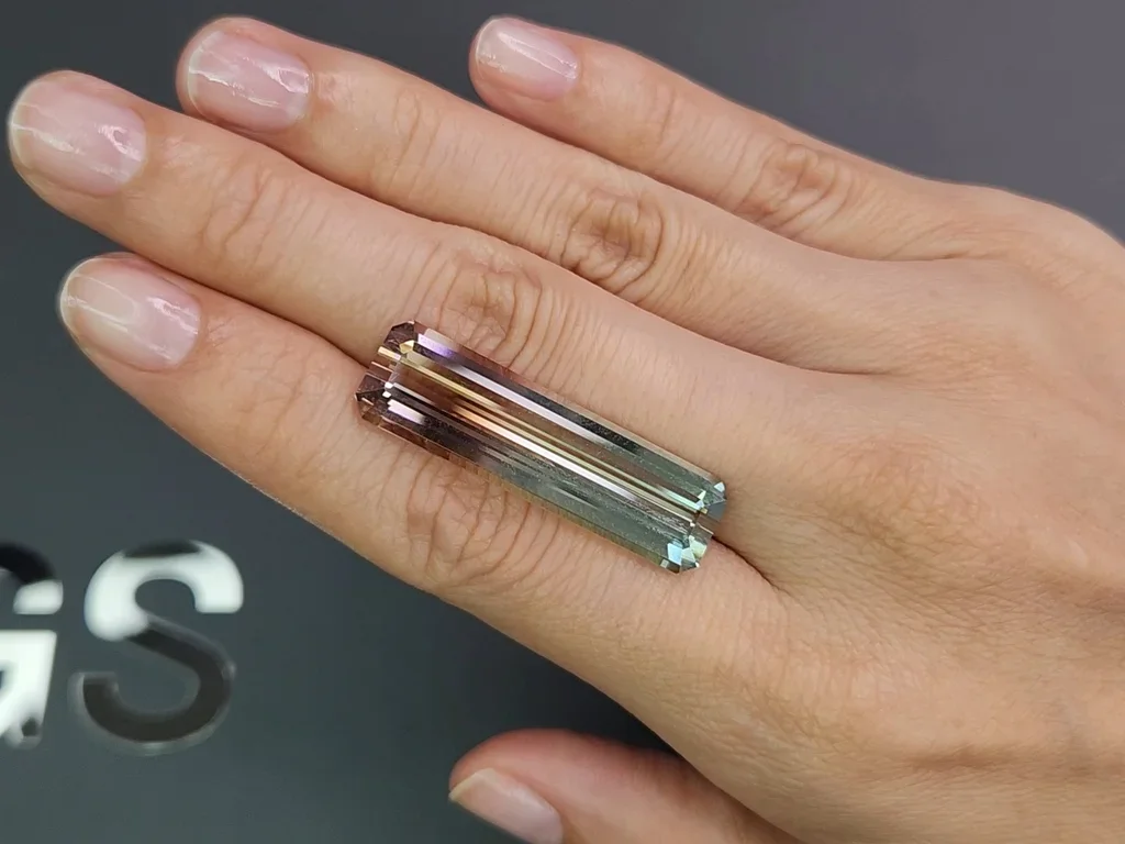 Octagon cut bi-color or watermelon tourmaline 23.84 Carats  Image №2