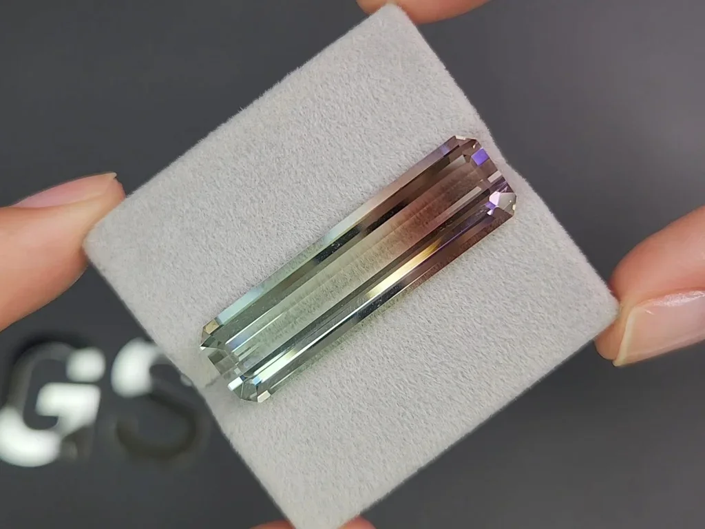 Octagon cut bi-color or watermelon tourmaline 23.84 Carats  Image №4