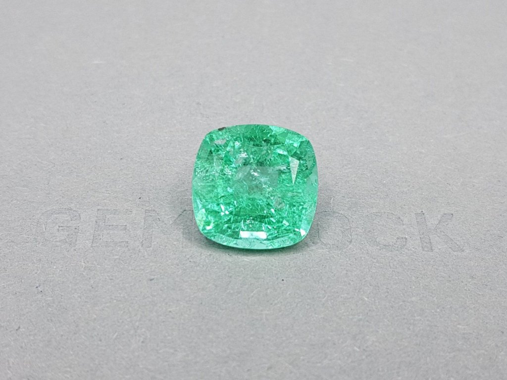 Vibrant Apple Cushion Paraiba 13.31 ct Image №1