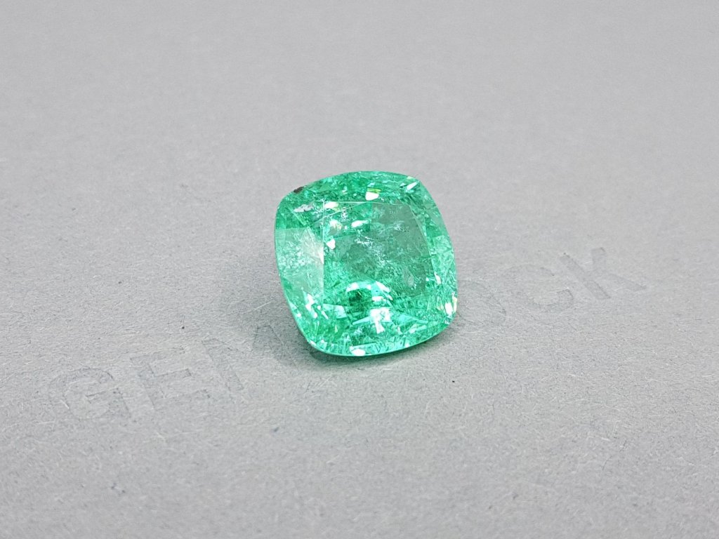 Vibrant Apple Cushion Paraiba 13.31 ct Image №2