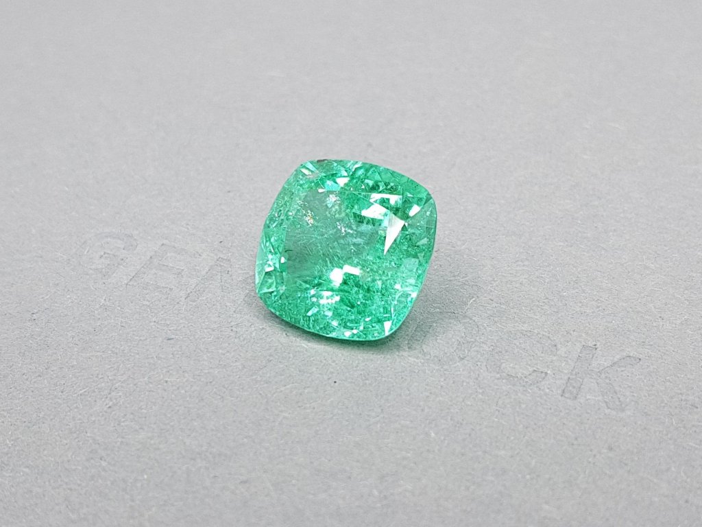Vibrant Apple Cushion Paraiba 13.31 ct Image №3