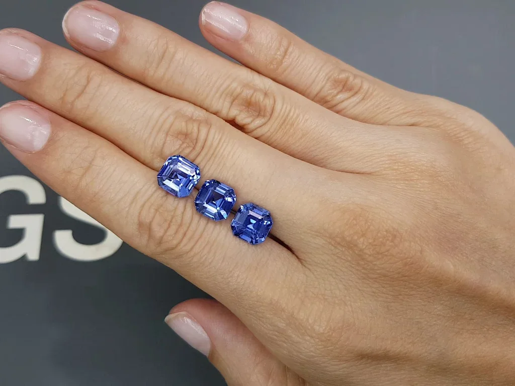 Set of blue Cornflower sapphires, octagon cut, 9.11 carats, Sri Lanka Image №2