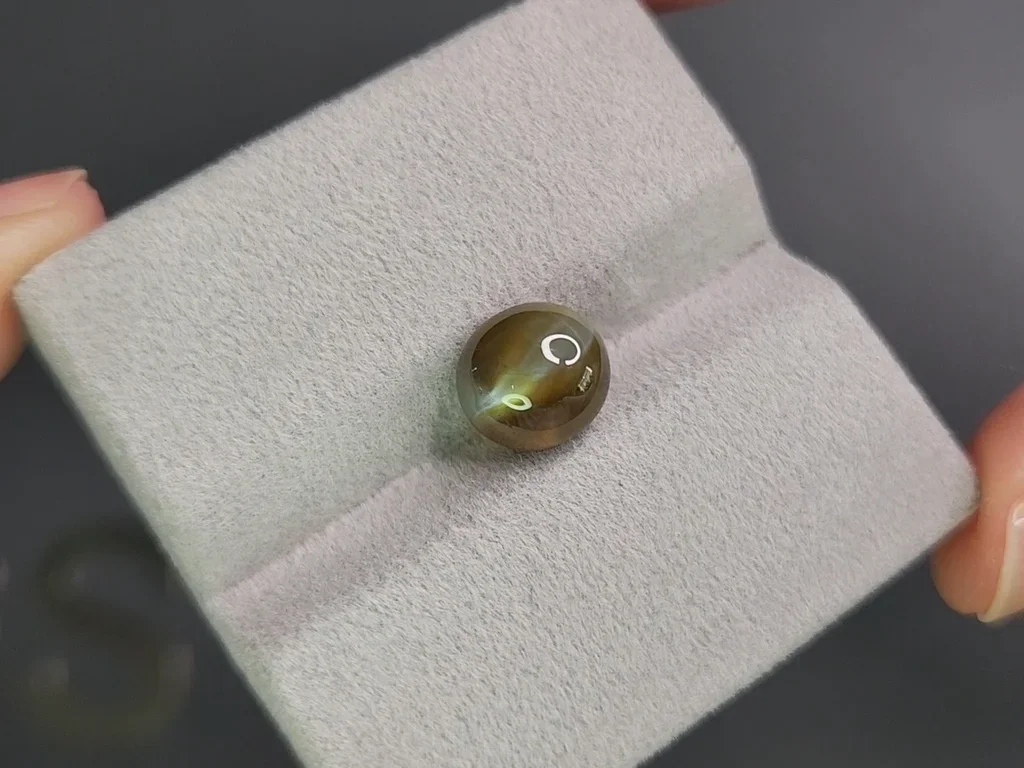 Cat's eye chrysoberyl in cabochon cut 4.29 carats, Sri Lanka Image №4